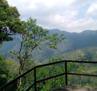 Bukit Bejagan: Menilik Indahnya Panorama yang Wajib Dikunjungi di Desa Tempur